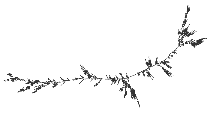 Simulated fold structure of the CoVID-19 genome